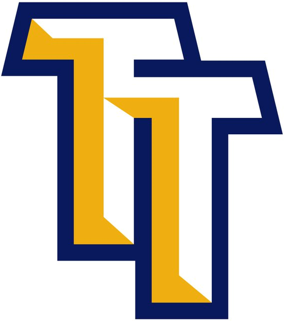 Torrington Titans 2011-Pres Cap Logo iron on transfers for clothing